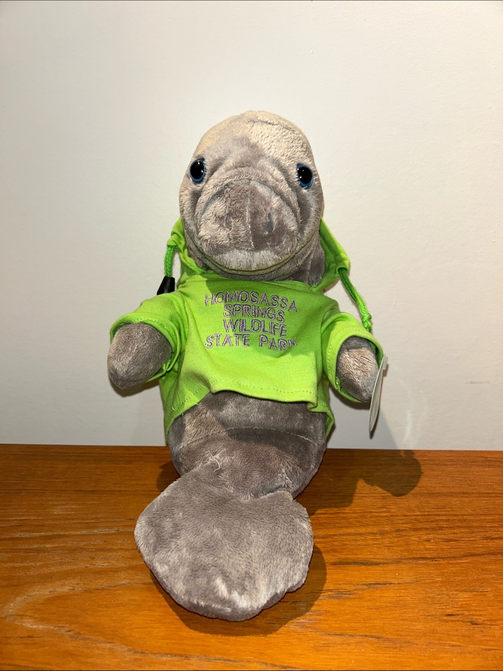 Vintage 2006 Manatee Stuffed Animal Homosassa Springs Wildlife State Park